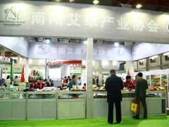 2019中国艾灸大会-上海艾灸展