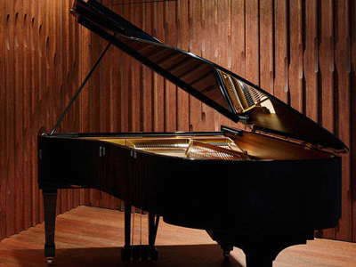 罗切斯特钢琴全国经销商代理商招募，诚邀您的加入！