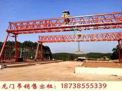 浙江湖州门式起重机厂家120吨花架龙门吊跨度40米