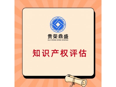 浙江省湖州市公司的无形资产怎么评估知识产权评估方法有哪些