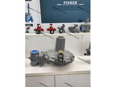 FISHER进口调压器 CS800IN-6E费希尔减压阀