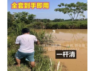 锂电打渔竿,充电式一体竿,锂电池单竿浮鱼打渔