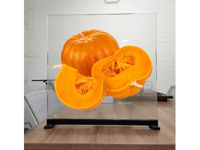 ‌多媒体展览投影膜 透明高透全息贴膜 玻璃投影成像膜‌