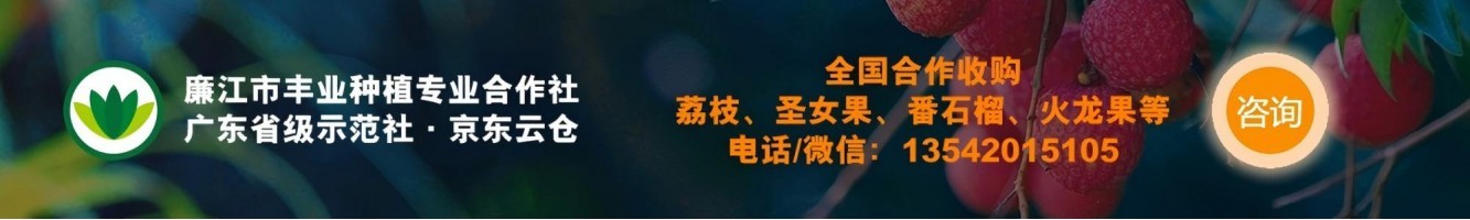 廉江市丰业种植专业合作社